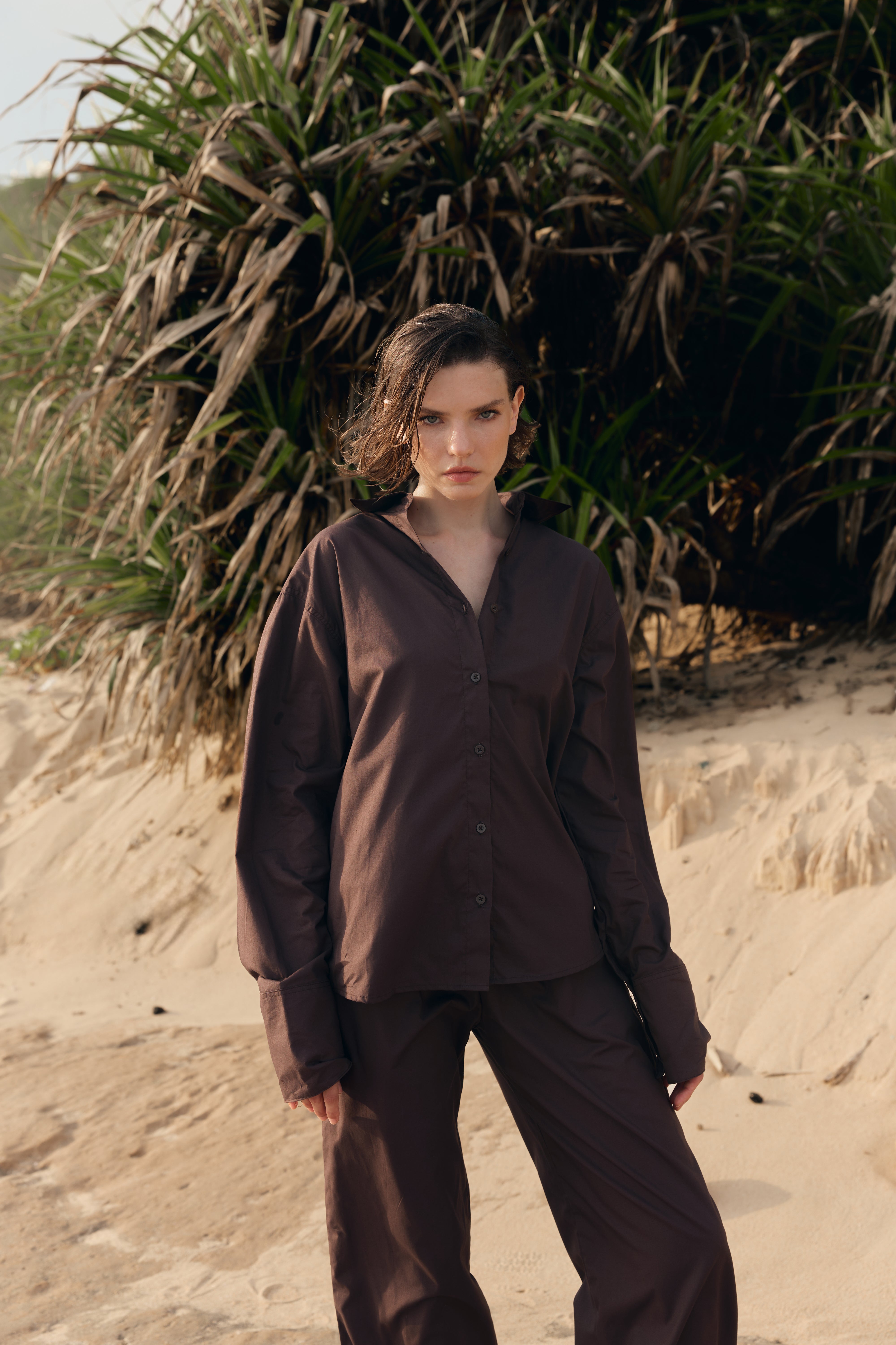 Demure Cotton Pants Brown